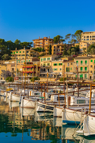 The Alluring Port of Soller Picture Board by Alex Winter