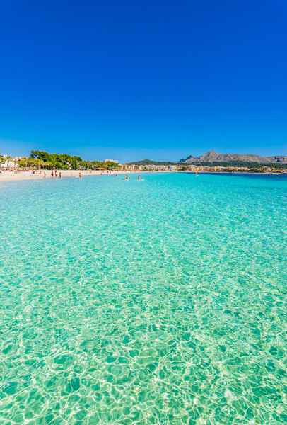 Alcudia turquoise water Picture Board by Alex Winter