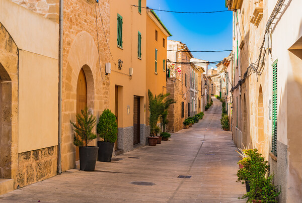 old town of Alcudia Picture Board by Alex Winter