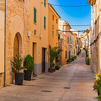 Buy canvas prints of old town of Alcudia by Alex Winter