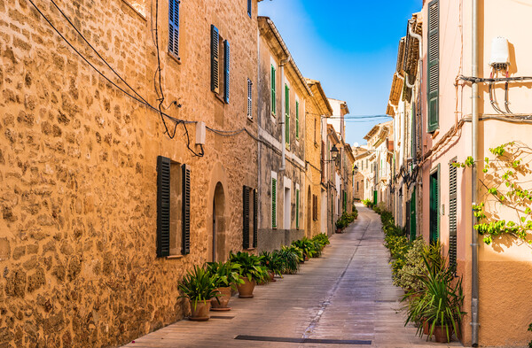 Old town of Alcudia street Picture Board by Alex Winter