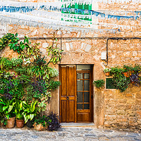 Buy canvas prints of Potted plant, Rustic Charm in Valldemossa by Alex Winter