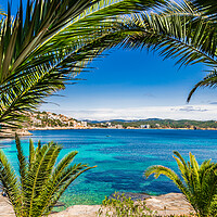 Buy canvas prints of Cala Fornells bay beach Mallorca by Alex Winter