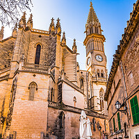 Buy canvas prints of Manacor cathedral by Alex Winter
