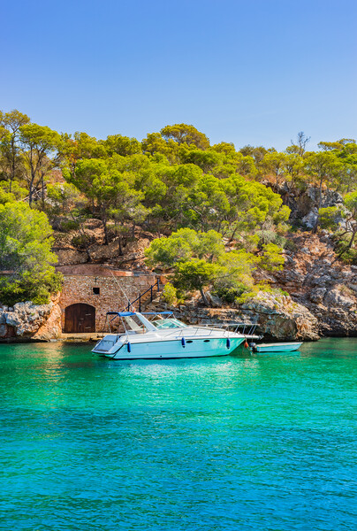 Idyllic view of Cala Figuera bay Picture Board by Alex Winter
