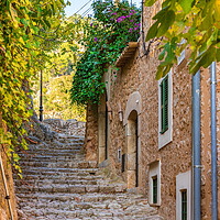 Buy canvas prints of Fornalutx on Majorca by Alex Winter