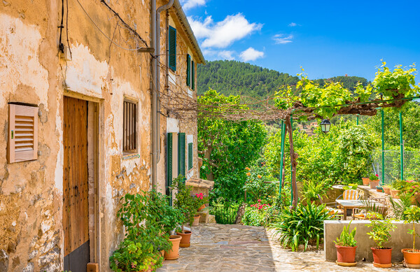 Rustic mediterranean houses with beautiful front yard and potted flowers Picture Board by Alex Winter