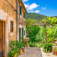 Buy canvas prints of Rustic mediterranean houses with beautiful front yard and potted flowers by Alex Winter