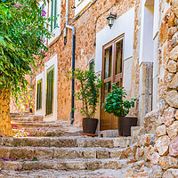 Buy canvas prints of Fornalutx on Majorca Spain by Alex Winter