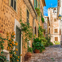 Buy canvas prints of Fornalutx spain, Old village on Majorca by Alex Winter
