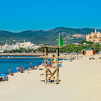 Buy canvas prints of Palma de Majorca with view of Cathedral, Spain  by Alex Winter