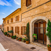 Buy canvas prints of Potted plants in Alcudia on Mallorca, Spain by Alex Winter