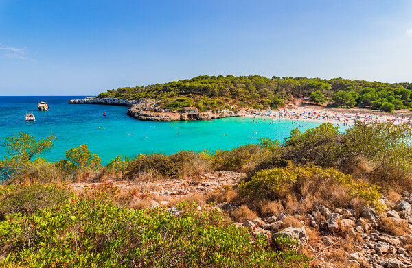 Beautiful beach bay Cala SAmarador on Mallorca island, Spain Picture Board by Alex Winter