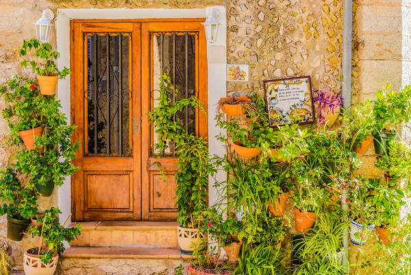 Typical potted plants in the old village of Valldemossa Framed Print by Alex Winter