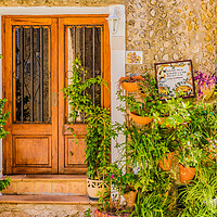 Buy canvas prints of Potted plants in the old village of Valldemossa by Alex Winter