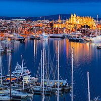 Buy canvas prints of Night view of city Palma de Mallorca with marina port, Spain by Alex Winter