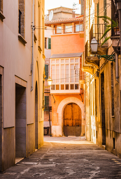 Old town of Palma de Mallorca Picture Board by Alex Winter
