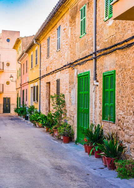 Street in the historic city center of Alcudia Picture Board by Alex Winter