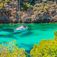 Buy canvas prints of Sailboat Yacht at the Seaside on Mallorca by Alex Winter