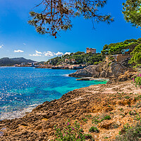 Buy canvas prints of Majorca, beautiful coast of Cala Ratjada by Alex Winter