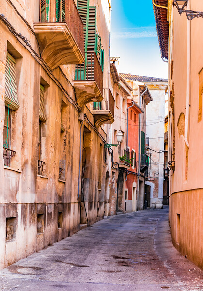 Street at the old town of Palma Picture Board by Alex Winter