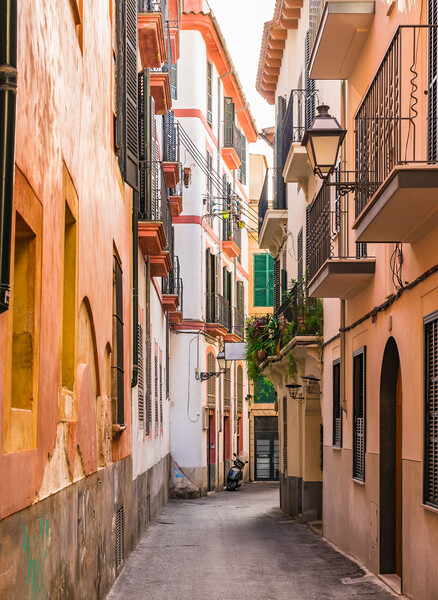 Narrow street at the old town of Palma de Majorca Picture Board by Alex Winter