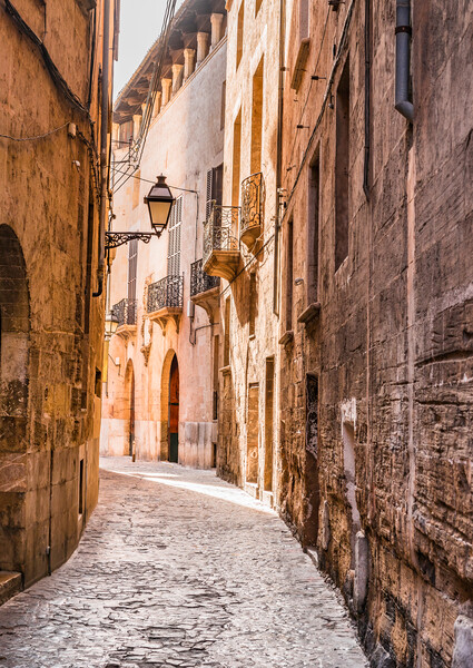 Old town of Palma Picture Board by Alex Winter