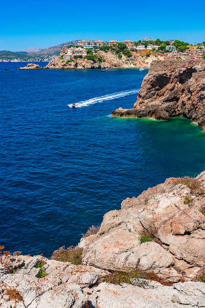 Costa de la Calma Majorca Picture Board by Alex Winter