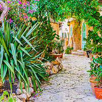 Buy canvas prints of Mediterranean house with beautiful flower pots and potted plants garden by Alex Winter