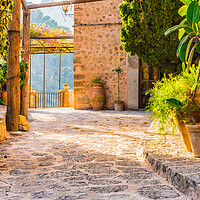 Buy canvas prints of Mediterranean terrace with beautiful potted plants and idyllic sunset light by Alex Winter