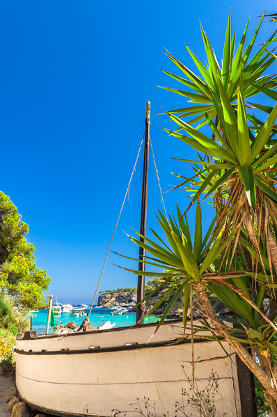 Idyllic view of bay with boats and beautiful turquoise sea water Picture Board by Alex Winter