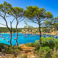 Buy canvas prints of Idyllic island scenery of Portals Vells, Majorca by Alex Winter