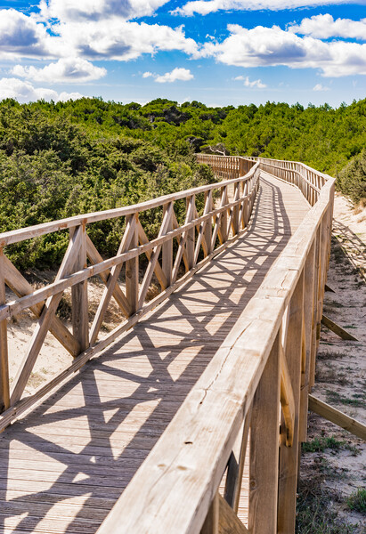 Wooden footbridge over sand dunes at the bay of Alcudia on Majorca Picture Board by Alex Winter