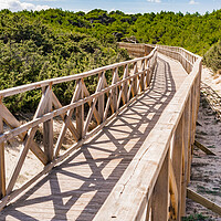 Buy canvas prints of Wooden footbridge over sand dunes at the bay of Alcudia on Majorca by Alex Winter