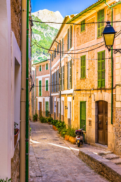 Old mediterranean village of Fornalutx on Majorca Picture Board by Alex Winter
