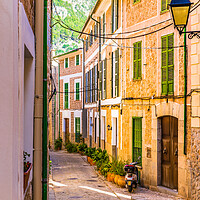 Buy canvas prints of Old mediterranean village of Fornalutx on Majorca by Alex Winter