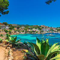 Buy canvas prints of Cala Fornells beach bay on Majorca by Alex Winter