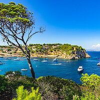 Buy canvas prints of Boats of Portals Vells, Mallorca by Alex Winter