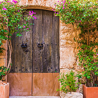 Buy canvas prints of Old door with potted plants decoration by Alex Winter