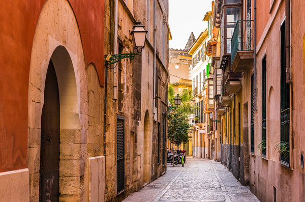 View of narrow street at the old town of Palma de  Picture Board by Alex Winter