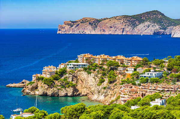 Spain, view of Costa de la Calma Picture Board by Alex Winter