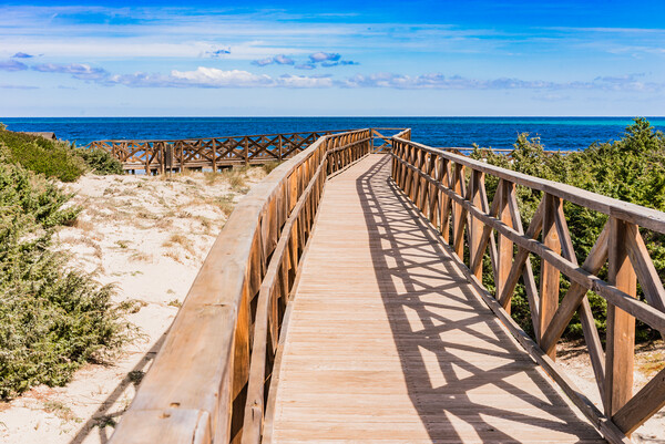 Boardwalk to the beach of bay of Alcudia Picture Board by Alex Winter
