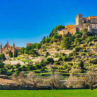 Buy canvas prints of A castle on top of a lush green field, Arta by Alex Winter