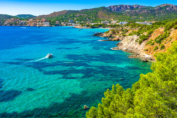 Island scenery of Mallorca, Peguera Acrylic by Alex Winter