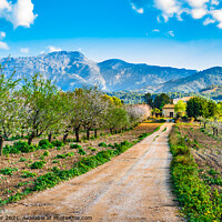 Buy canvas prints of Spring day with idyllic scenery  by Alex Winter