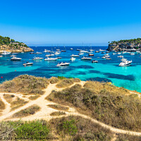 Buy canvas prints of Portals Vells with many luxury yachts by Alex Winter