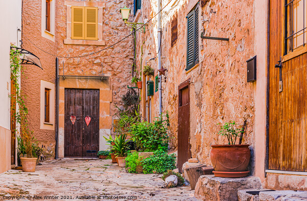 Mallorca, Spain, houses in beautiful village of Valldemossa Picture Board by Alex Winter