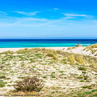 Buy canvas prints of Beautiful dunes landscape on Mallorca Spain by Alex Winter