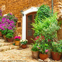 Buy canvas prints of Beautiful flowers street in old village Fornalutx by Alex Winter