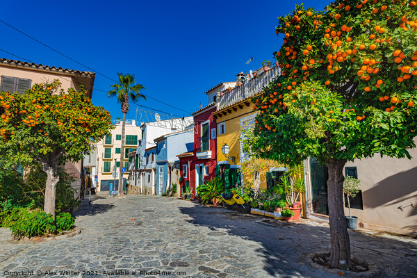 Spain Palma de Mallorca view of colorful houses Picture Board by Alex Winter